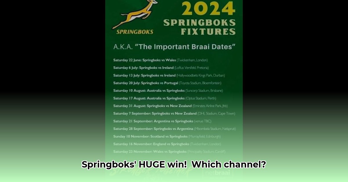 which-channel-is-springbok-playing-today
